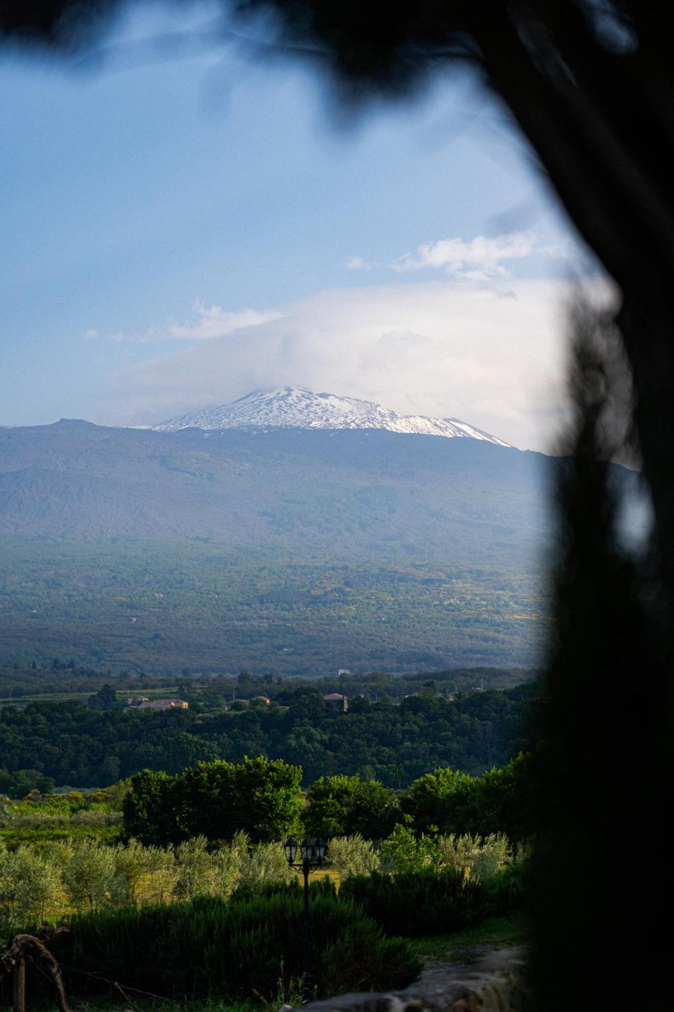 Tenuta Rustica 1519 Roccella Valdemone エクステリア 写真